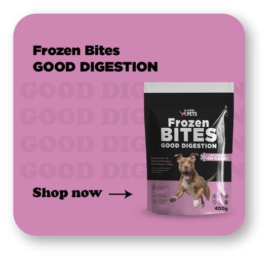 Frozen Bites Good Digestion